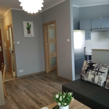 Apartament Edelmana Apartman Gorzów Wielkopolski Kültér fotó